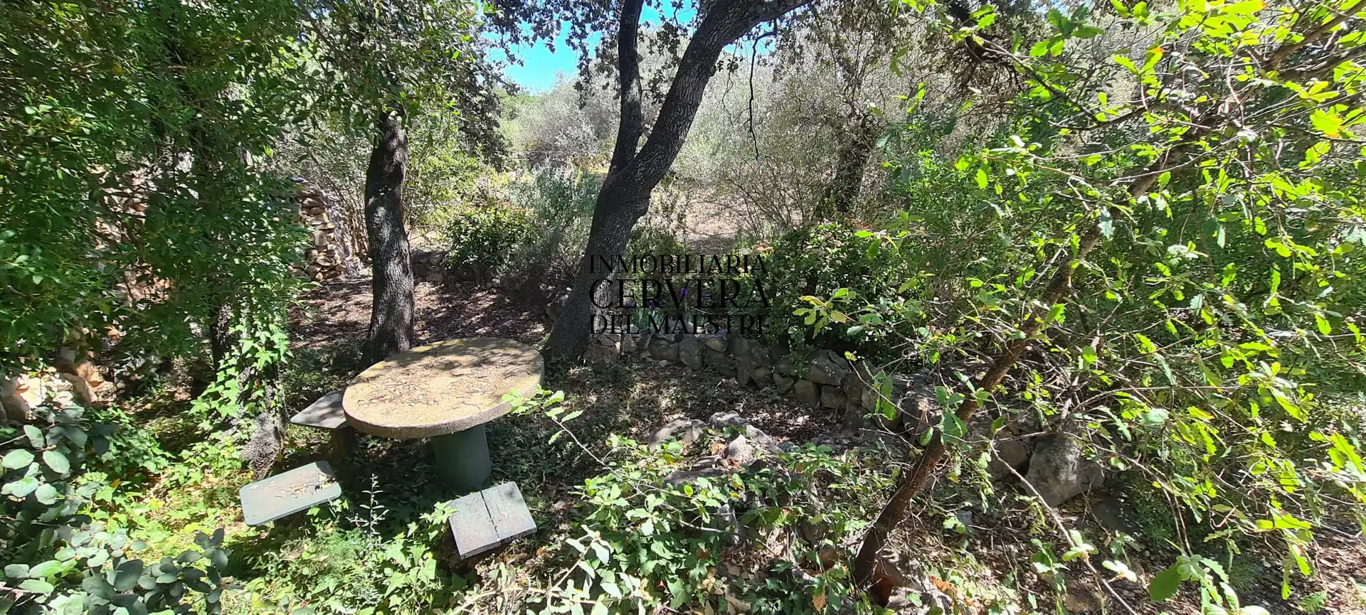 Terreno rustico in vendita a Cervera del Maestre, imagen 7