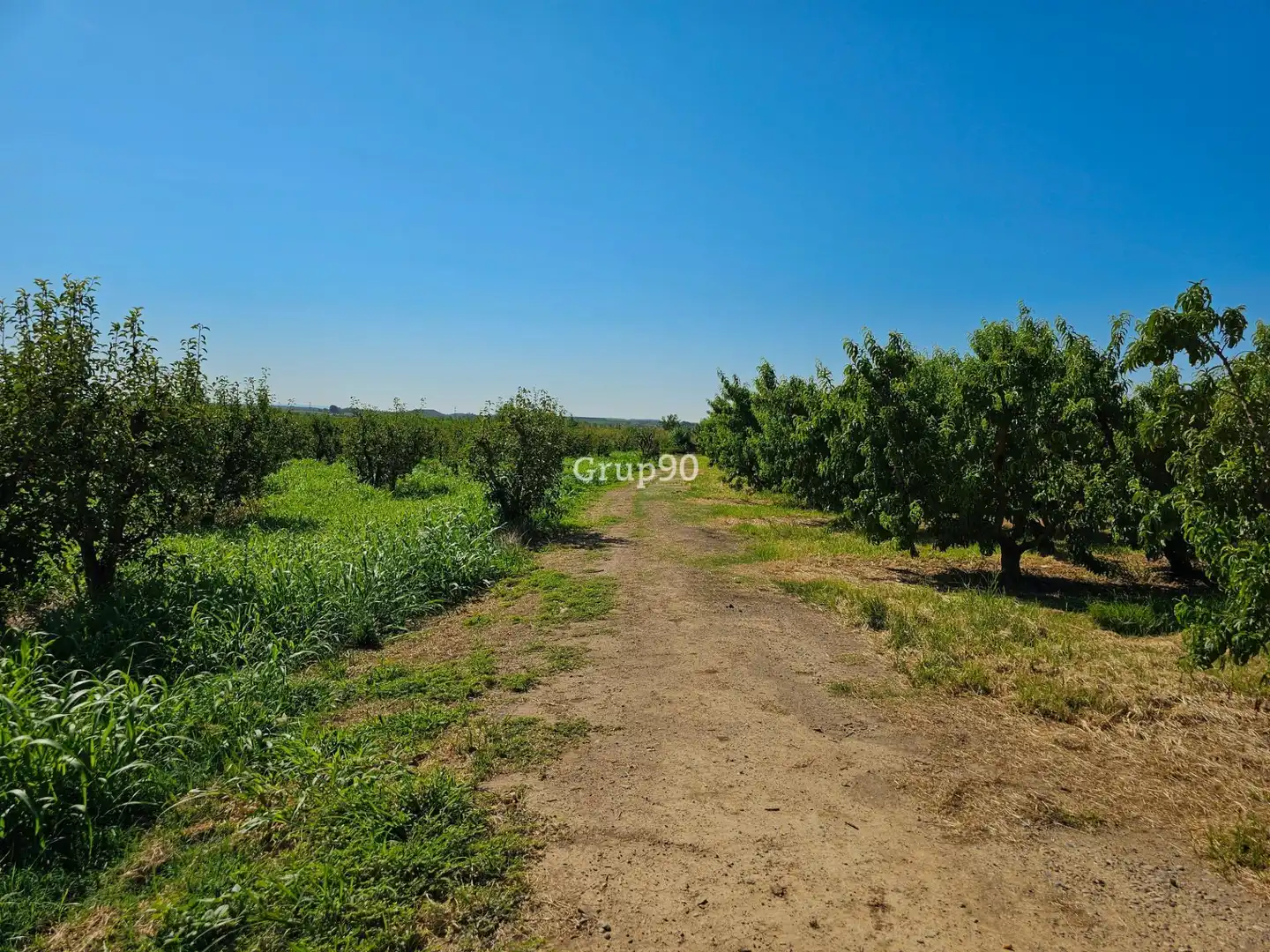 Nave industrial en venta en Oria