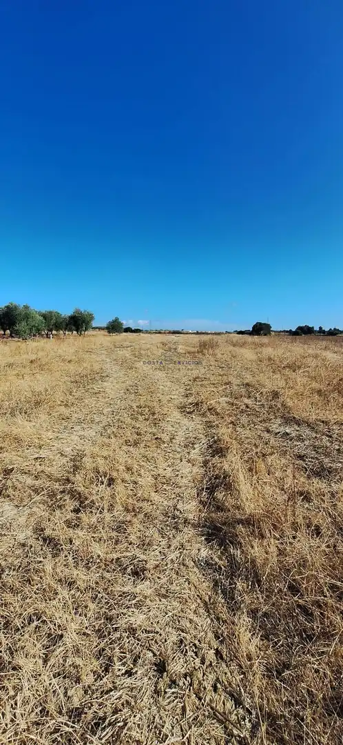 Terreno rústico en venta en Gibraleón, imagen 2