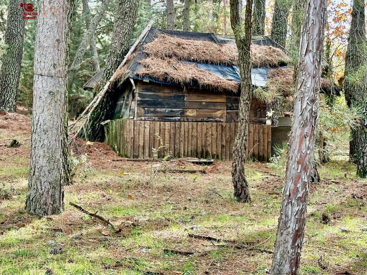 Terreno rustico in vendita a Los Molinos, imagen 16