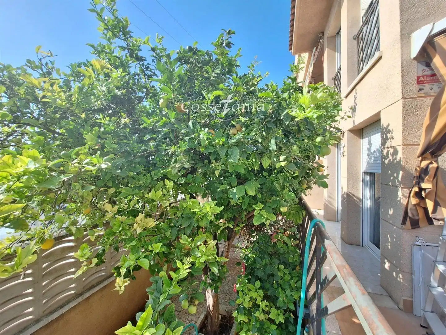 Appartement à vendre à RAVAL DEL TORRENT, imagen 44