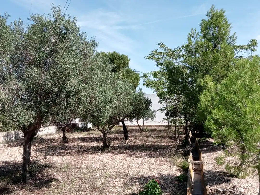 Casa rústica en venta en Paraje los Pinos Uno 10, imagen 7