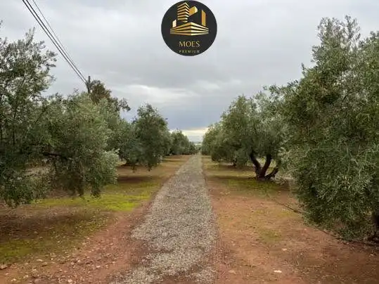 Terreni e lotti in vendita a Arrayanes