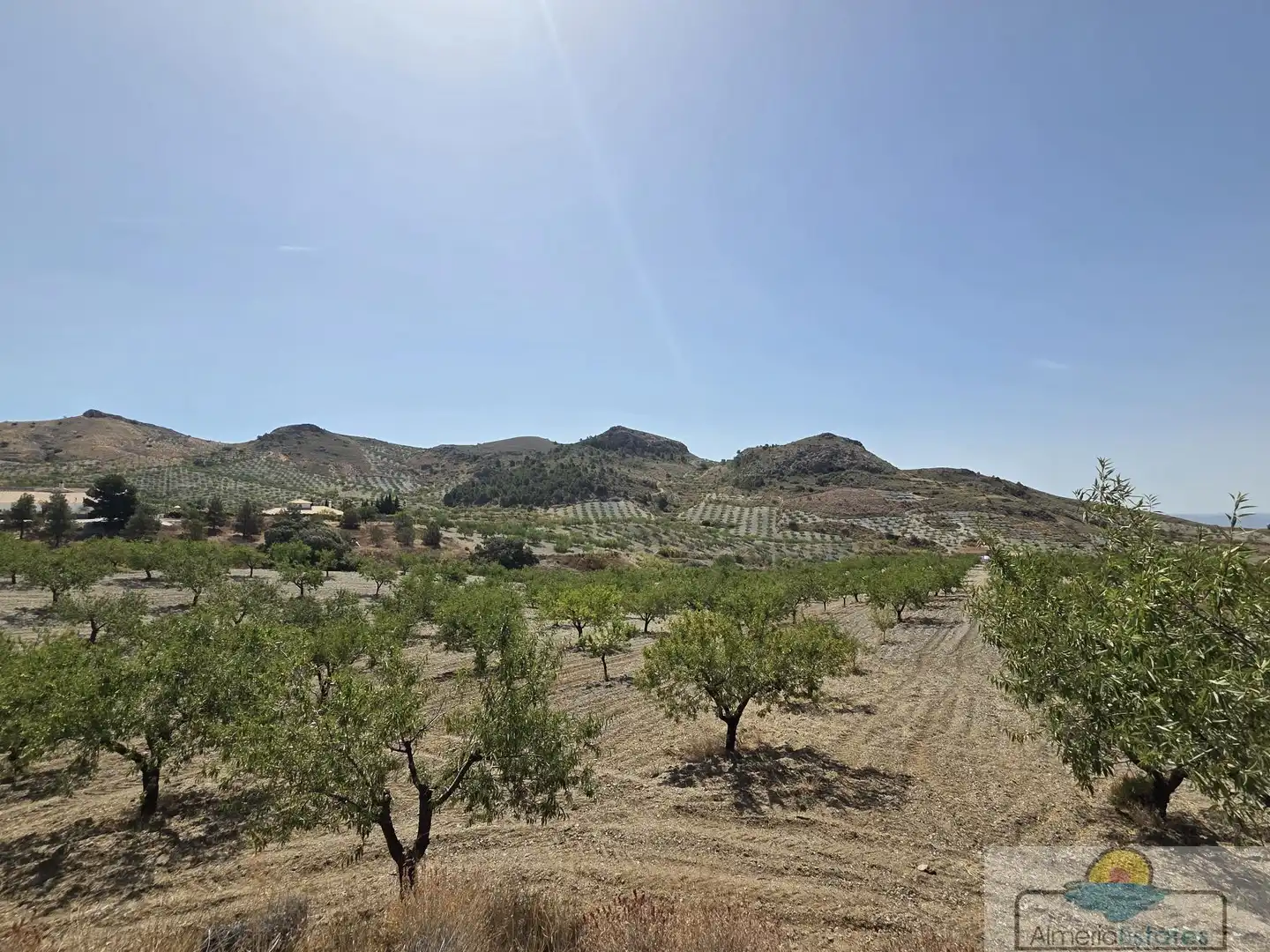 Detached house for sale in Albox, imagen 22