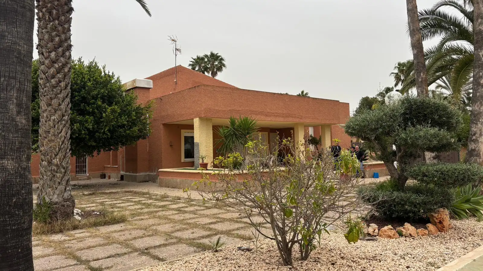 Vista exterior de Casa o xalet en venda en Elche / Elx amb Jardí privat, Terrassa i Piscina