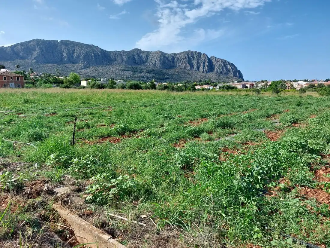 Terreny residencial en venda a Beniarbeig, imagen 11
