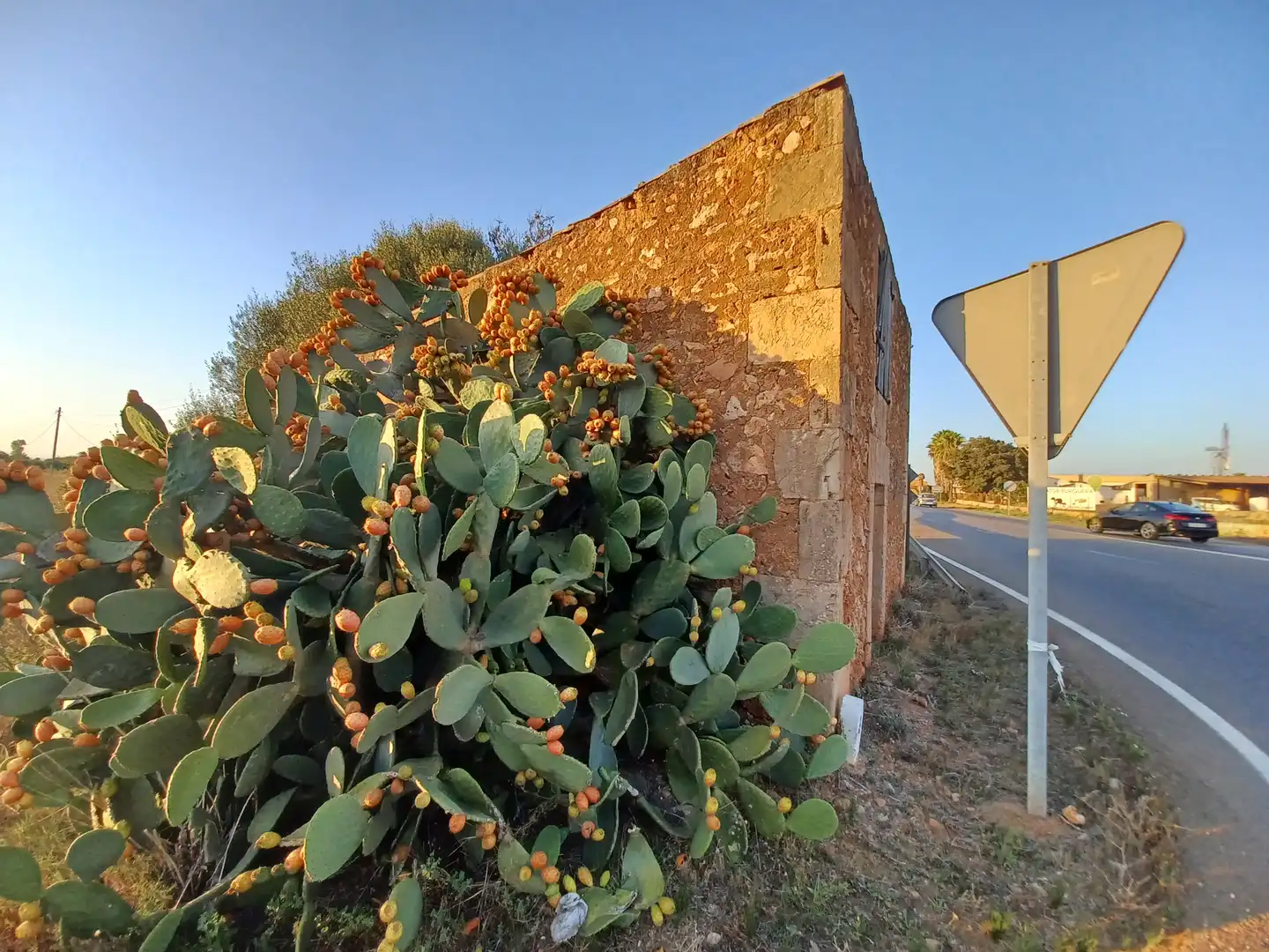 Vista exterior de Terreno en venta en Campos