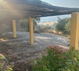 Foto 4 de Finca rústica en venda a Partida de Moreno y Vicenta, Centro, Málaga