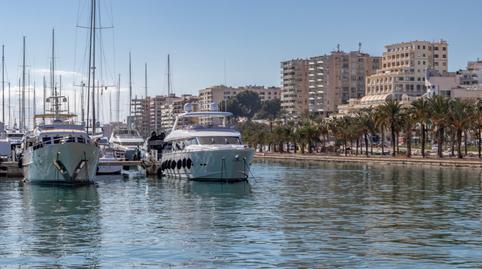 Photo 4 of Premises to rent in Son Armadans, Illes Balears