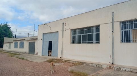 Exceptional Versatility 570 m OpenPlan Warehouse with 176 m Outbuildings OfficesLiving Potential, Olive Grove, and Animal Faciliti