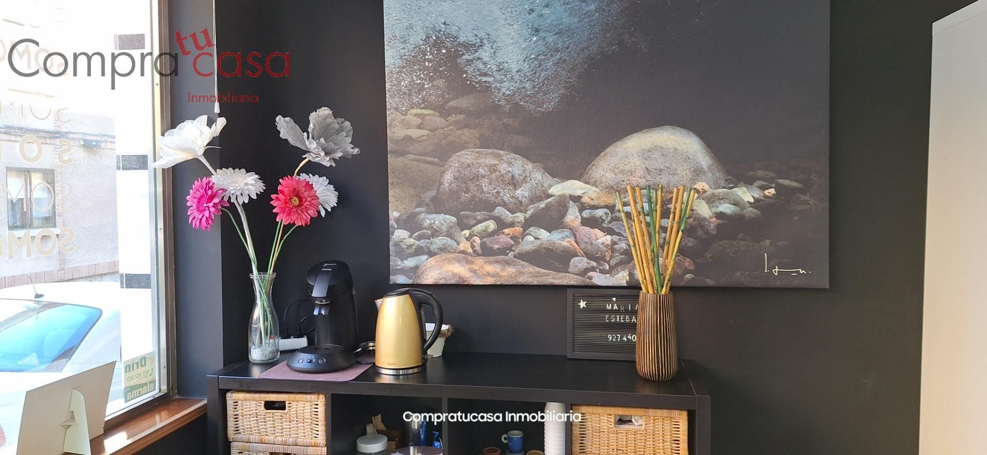 Jardí de Local en venda en Segovia Capital amb Aire condicionat i Moblat