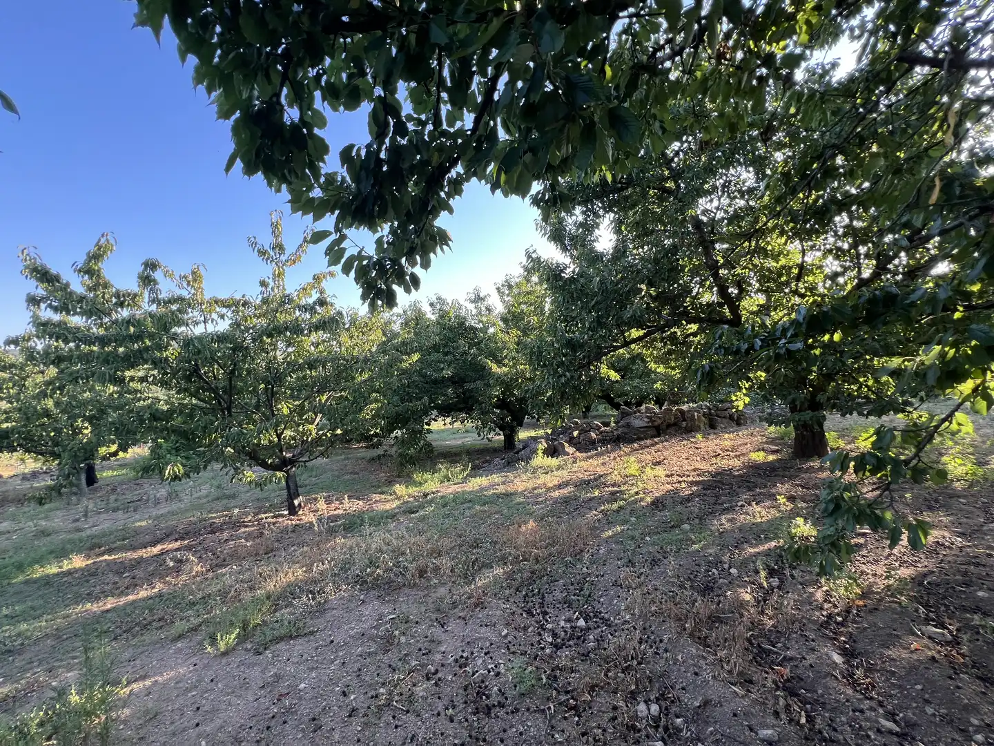 Terreni e lotti in vendita a Garganta la Olla, imagen 17