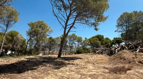 Photo 3 of Residential for sale in Camí de Fanadix, 10, Moravit - Cap Blanc, Alicante