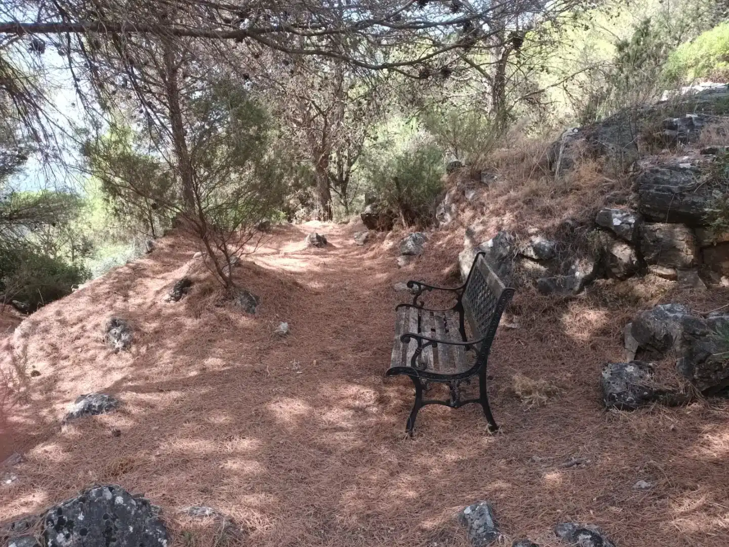 Jardí de Finca rústica en venda en Yunquera amb Piscina