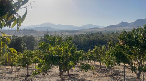 Foto 3 de Finca rústica en venda a Pizarra, Málaga