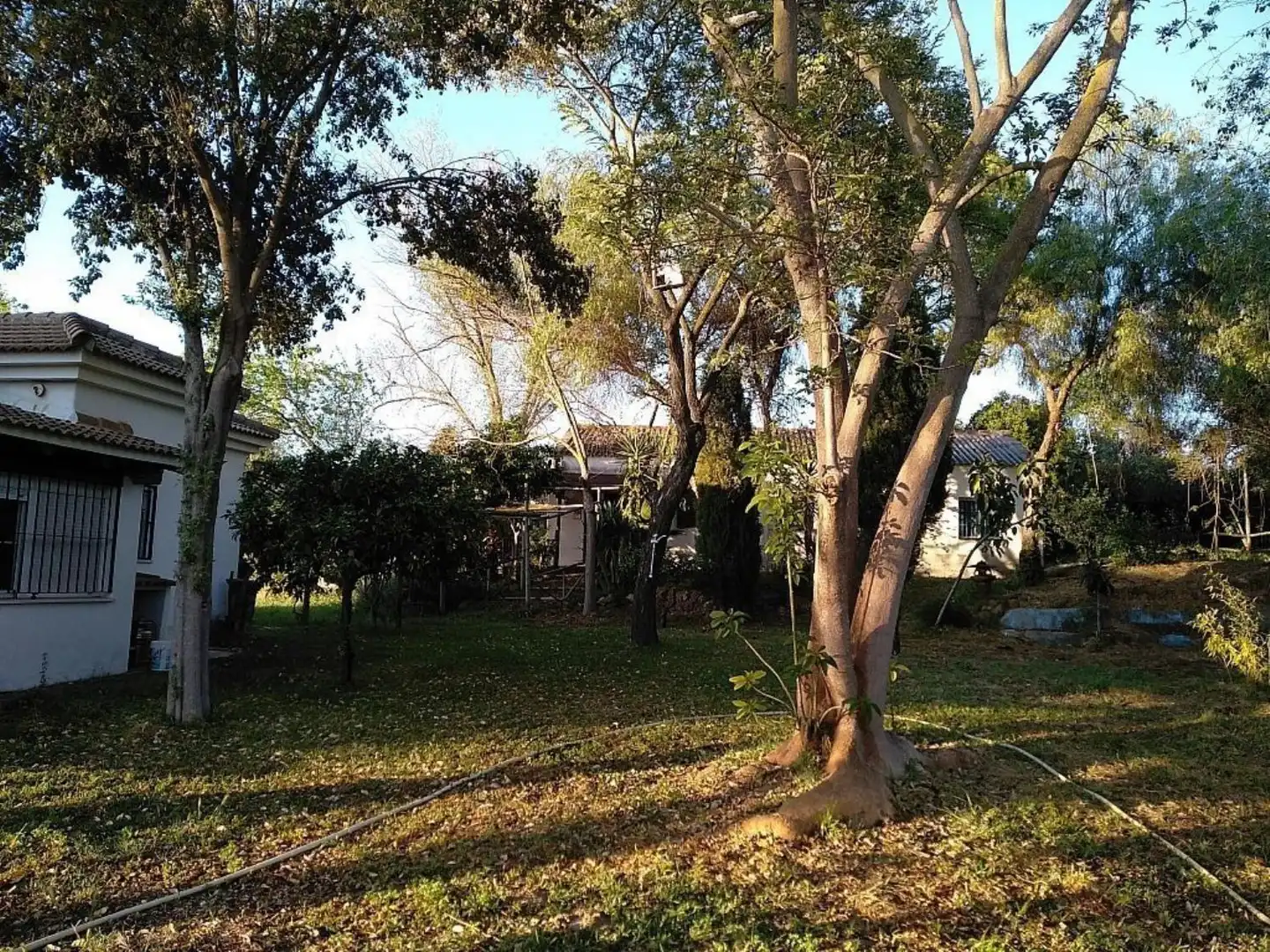 Terreno en venta en Sanlucar, 3, Sanlúcar la Mayor