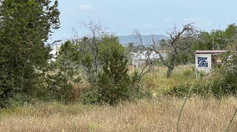 Photo 5 of Residential for sale in Ca Na Negreta - Can Ramón, Illes Balears