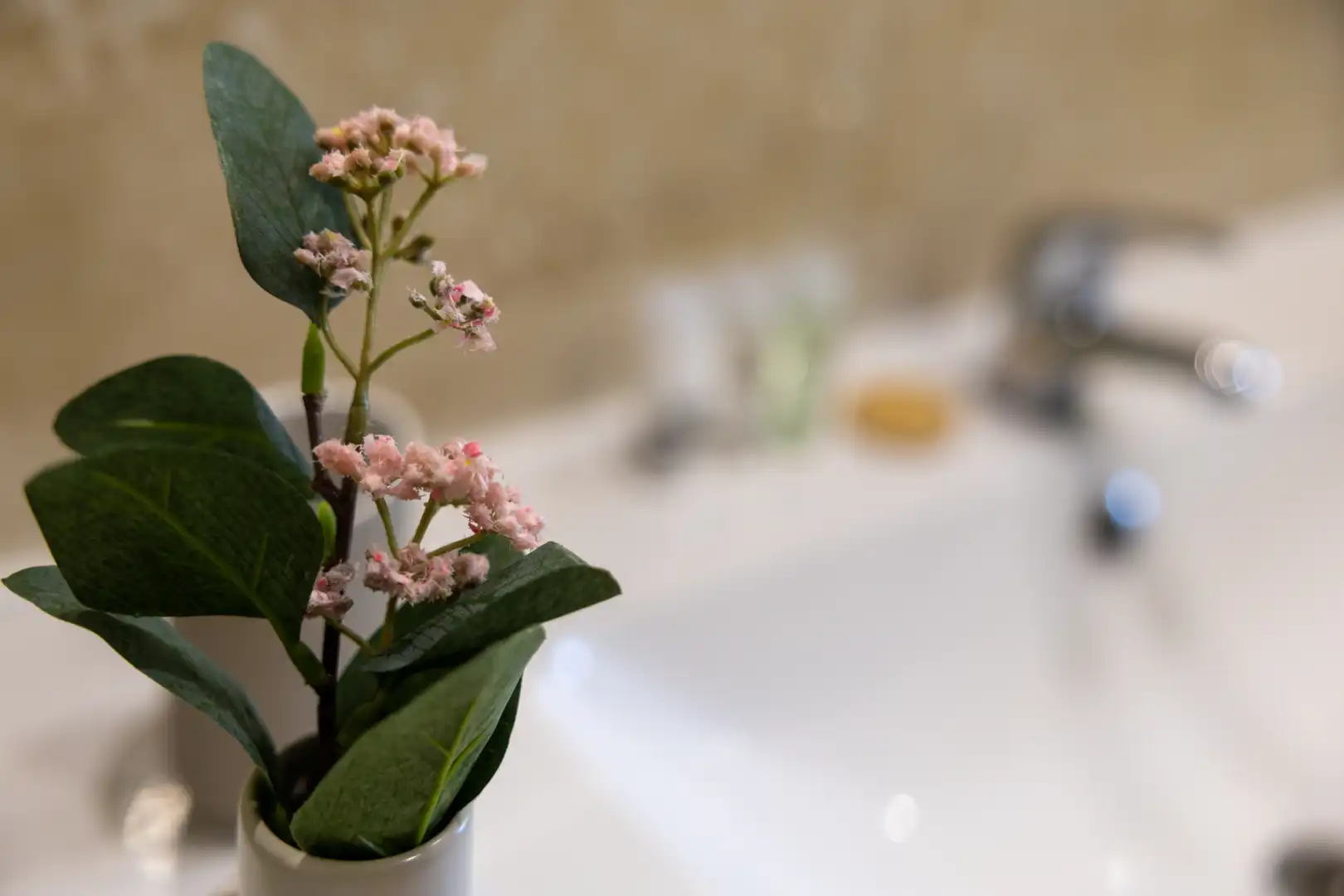 Bathroom of Apartments for rent in Madrid  with Air Conditioner, Heating and Furnished