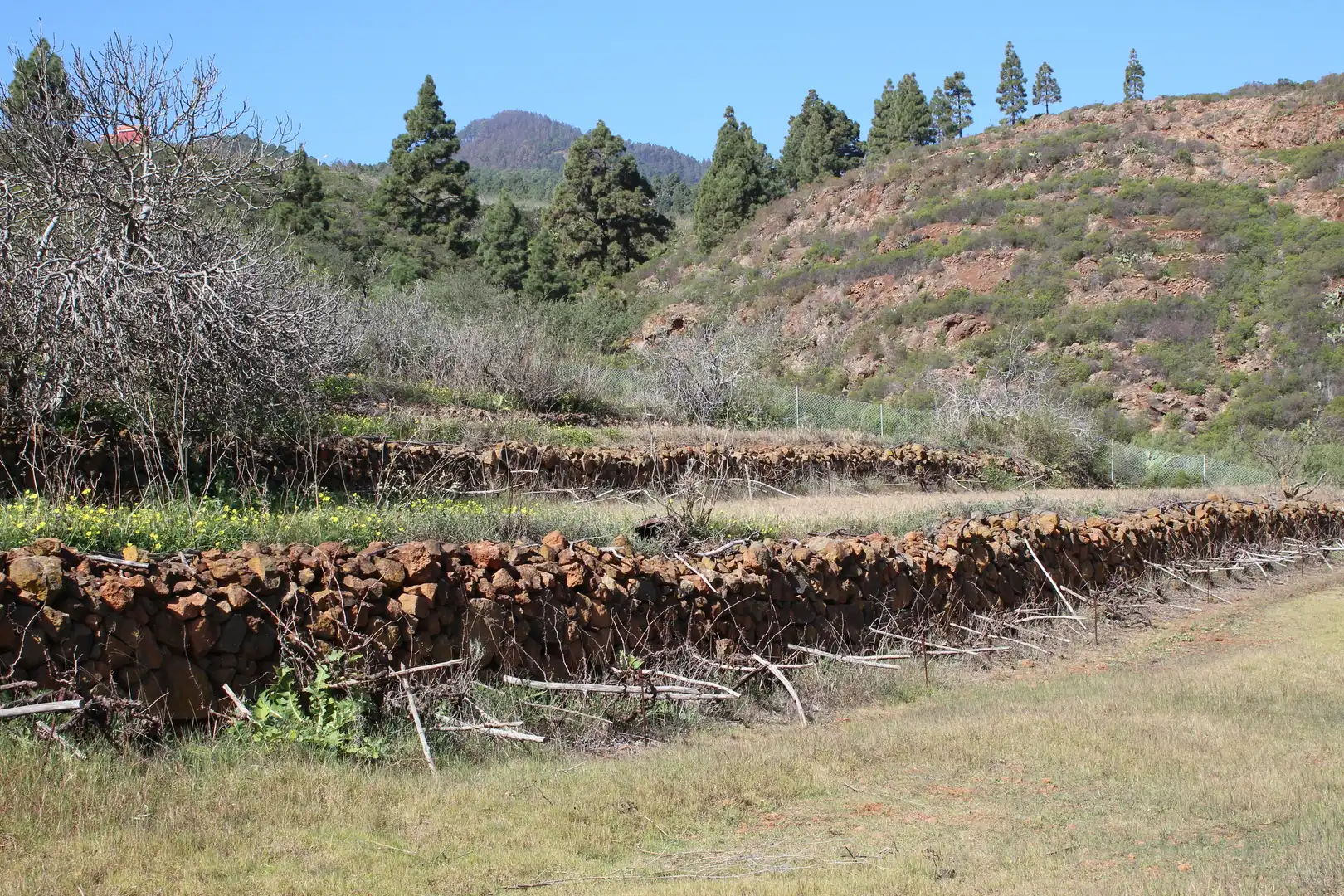 Rustikales Grundstück zum Verkauf in Machado - Las Barreras, imagen 10