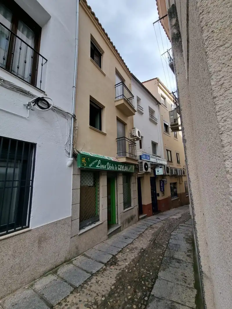 Habitatge amb jardí en venda a Centro Ciudad