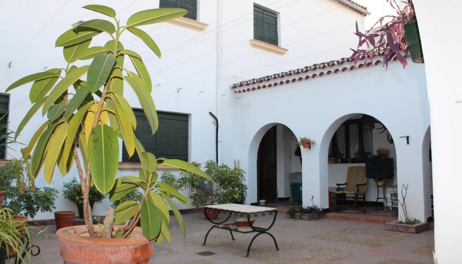 Photo 1 of House or chalet for sale in Plaza España, Solana de los Barros, Badajoz