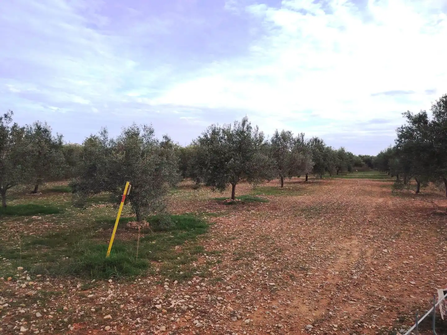 Terrain rustique à vendre à Santa Bárbara, imagen 3