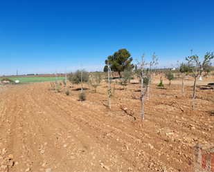 Finca rústica en venda en Villarrobledo amb Piscina