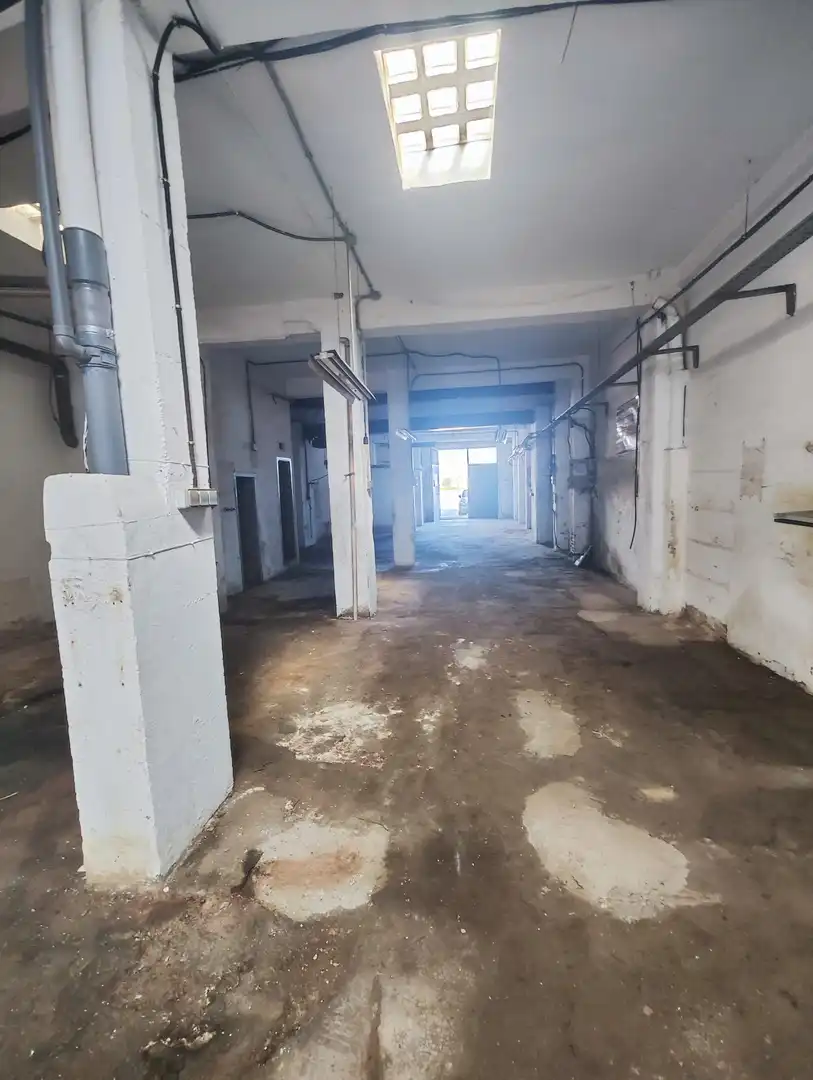 Geschaftsraum zur Miete in Valencia
