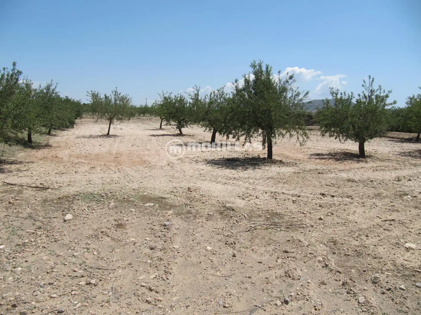 Terreny rústic en venda a Puerto Lumbreras, imagen 3