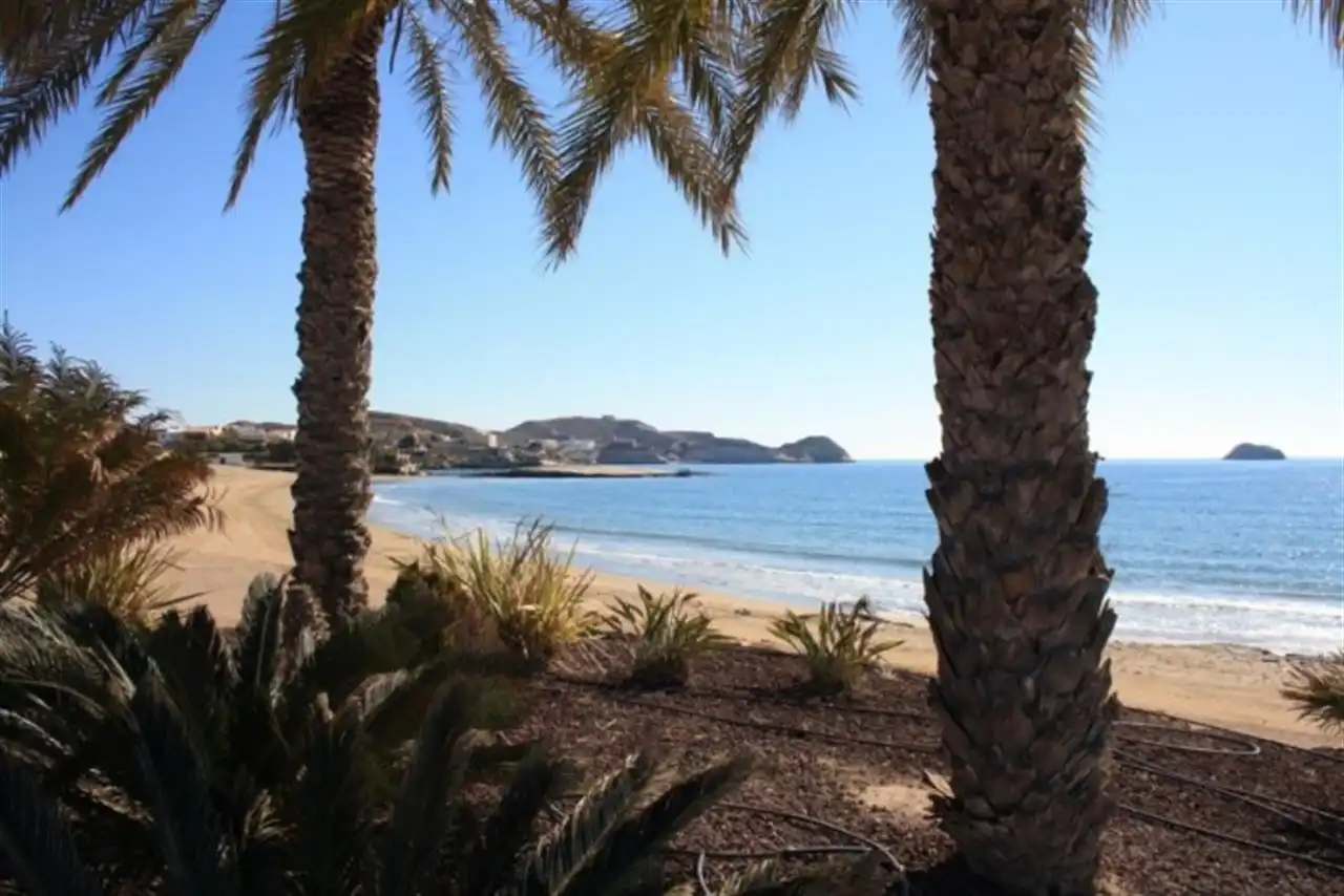 Ático con piscina en venta en San Juan de los Terreros, imagen 37