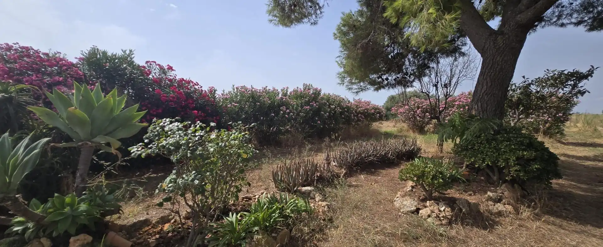 Finca rústica en venda en Vinaròs