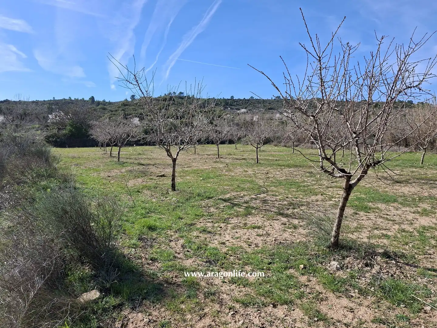Land for sale in Fabara