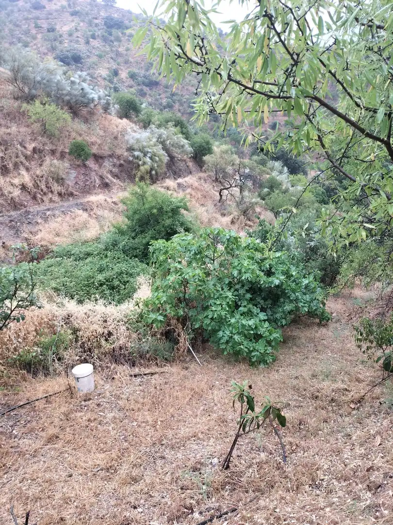 Finca rústica en venta en Málaga