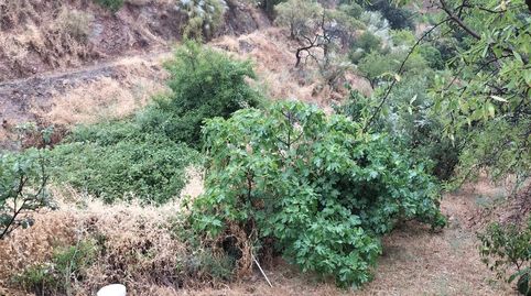 Foto 2 de Finca rústica en venta en Olías, Málaga Capital