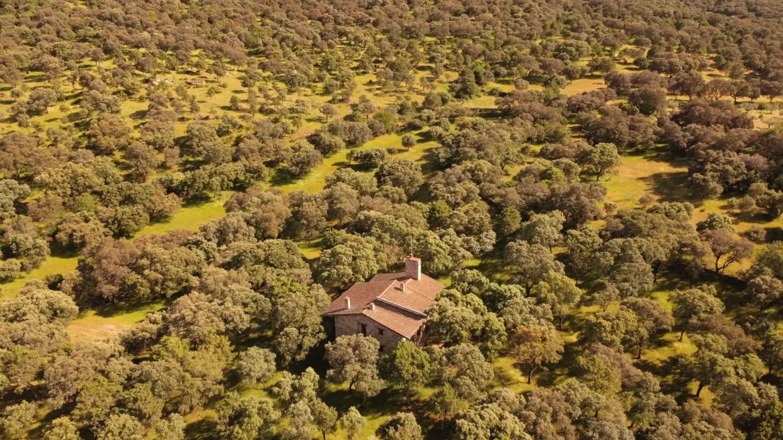 Vista exterior de Finca rústica en venta en El Real de San Vicente con Aire acondicionado, Calefacción y Terraza