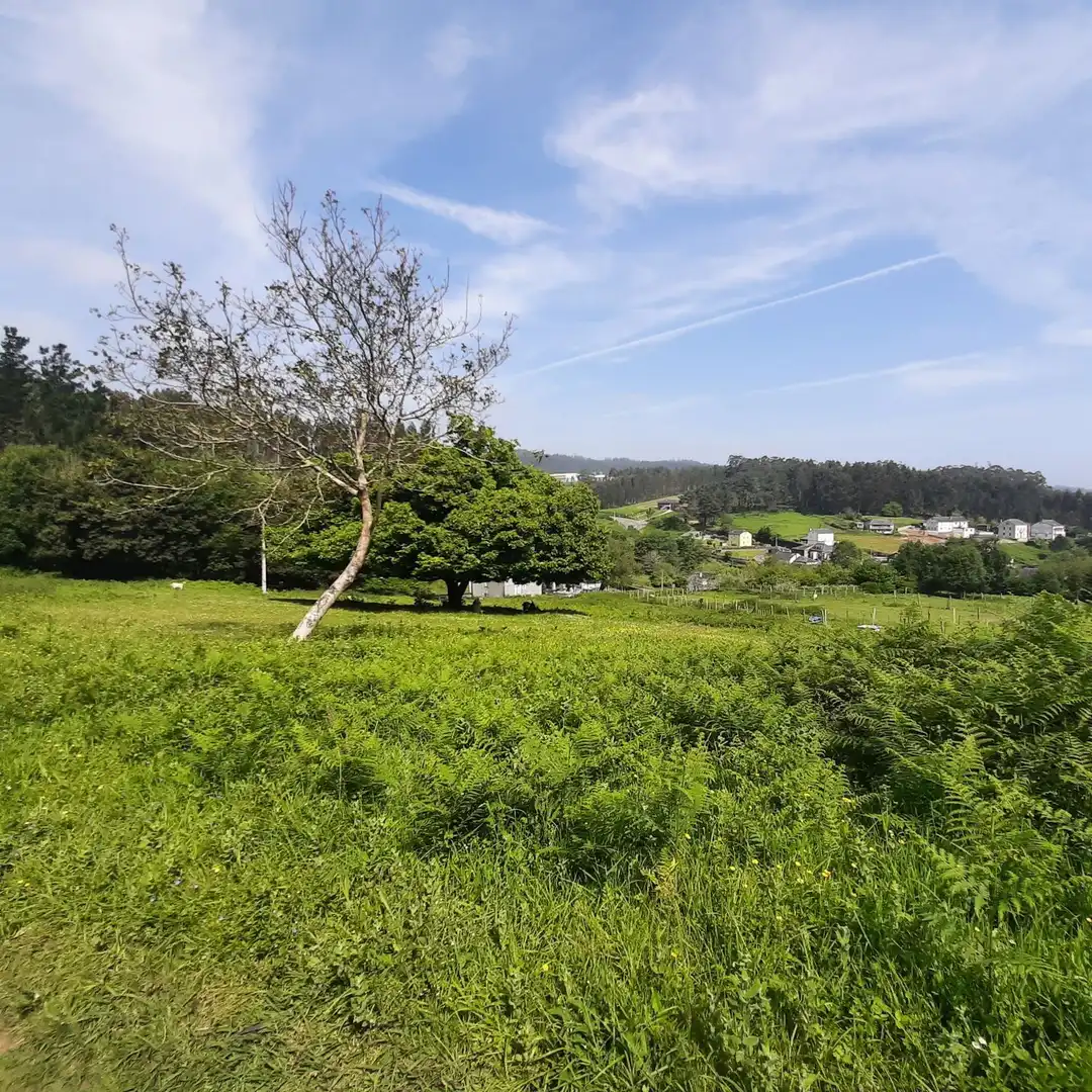 Finca rústica en venda en Viveiro amb Jardí privat