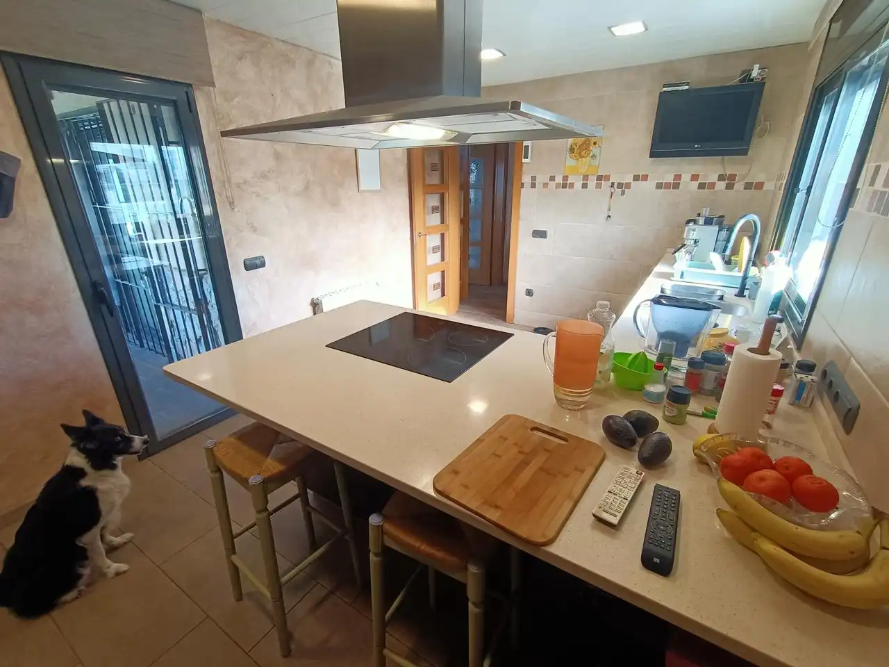 Haus zum Verkauf in Urbanització Mas Altaba, imagen 6