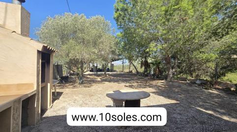 Foto 5 de Finca rústica en venda a Jacarilla, Alicante