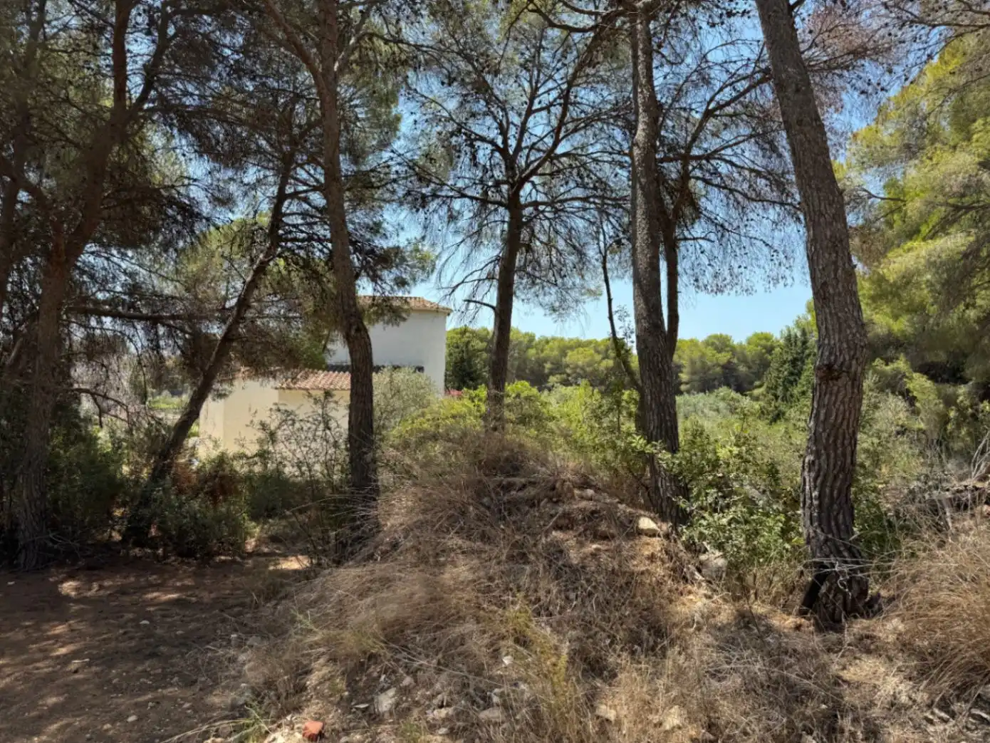 Terreny residencial en venda a Pinar del Advocat - Cometa, imagen 16