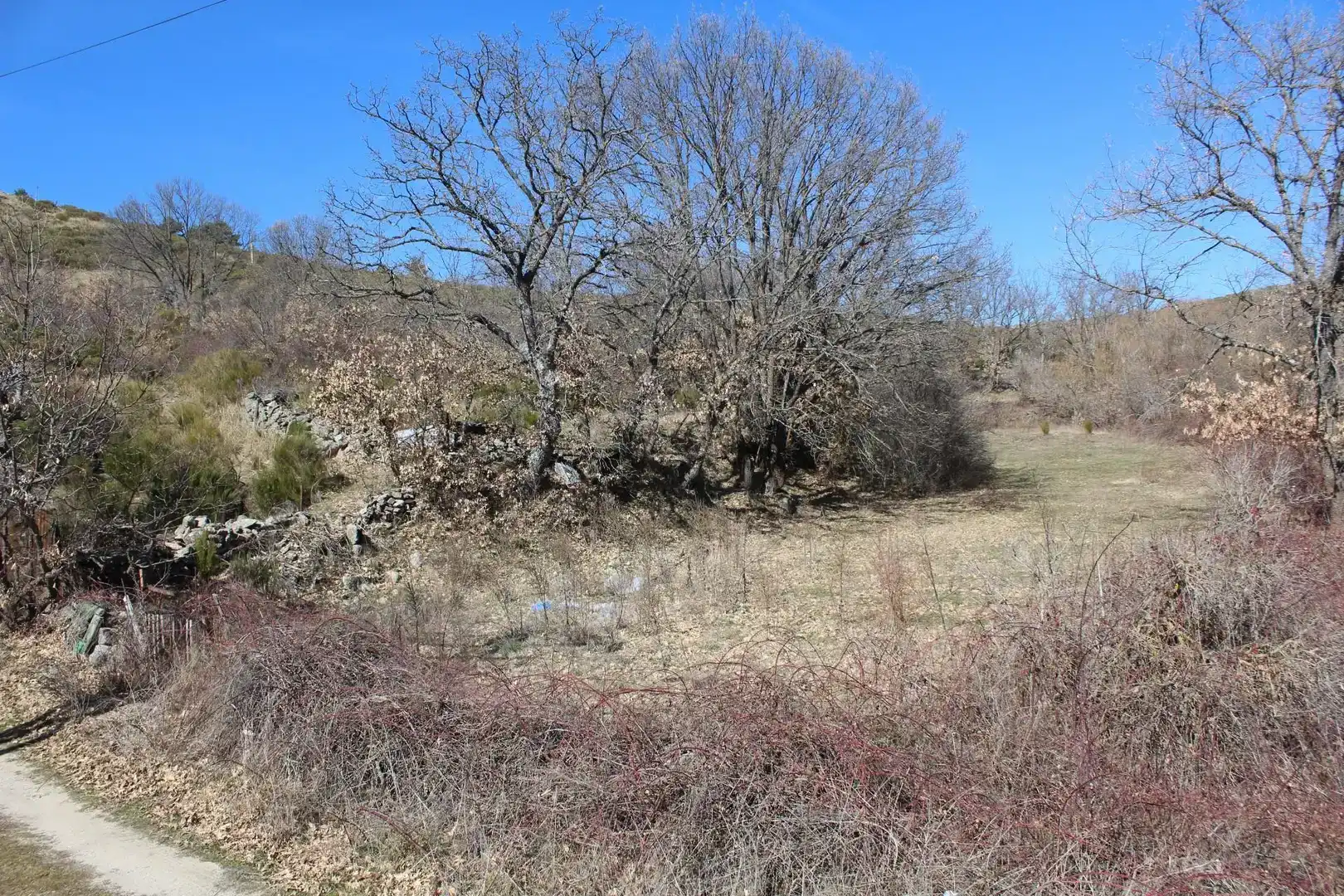 Land for sale in Peguerinos