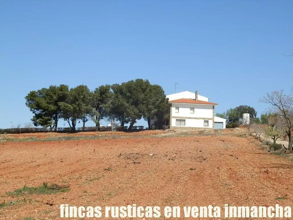 Rural land for sale in Valdepeñas, imagen 31