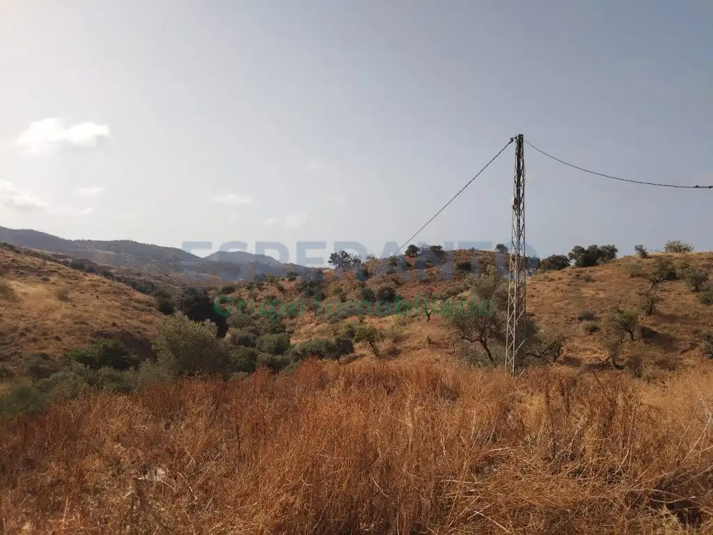 Terreno residencial en venta en Este, imagen 10