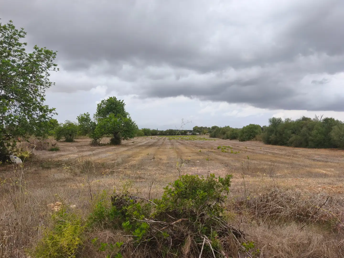 Terrain résidentiel à vendre à Algaida, imagen 3