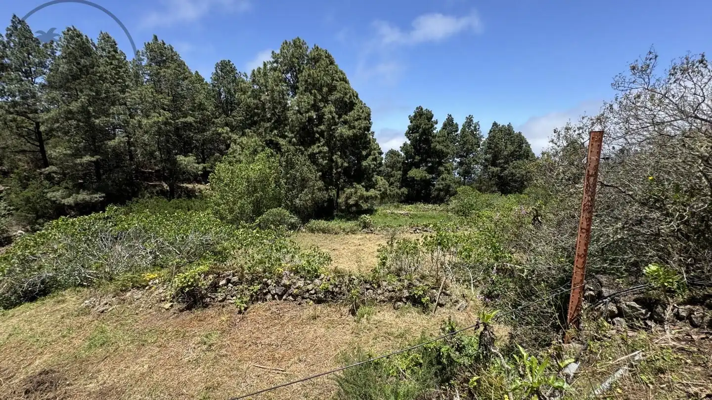 Lands and plots for sale in La Peña 1, imagen 13