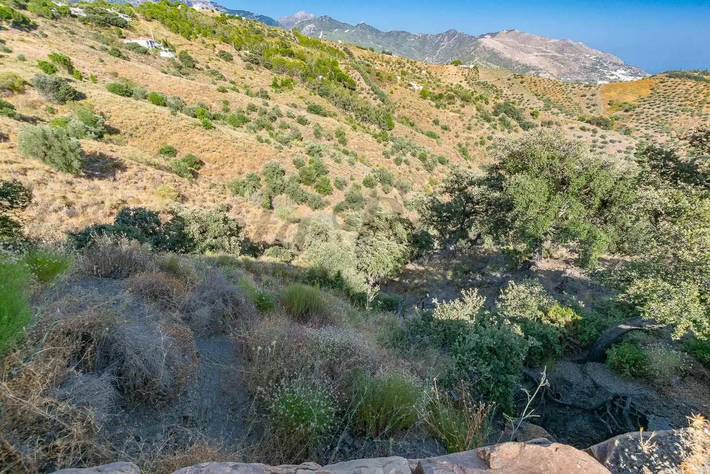 Terreno rustico in vendita a Salares, imagen 5