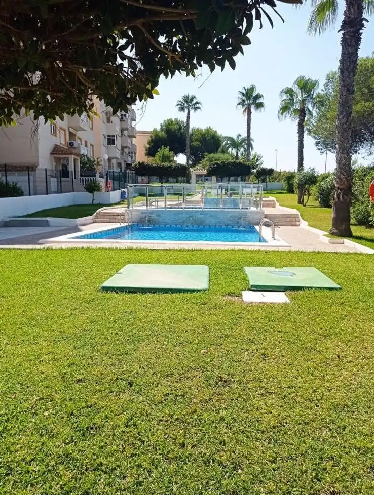 Swimming pool of Apartments for rent in Torrevieja  with Heating, Swimming Pool and Furnished