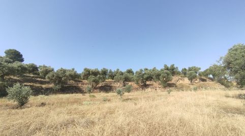 Finca rústica con maset en Calaceite, immagine 5