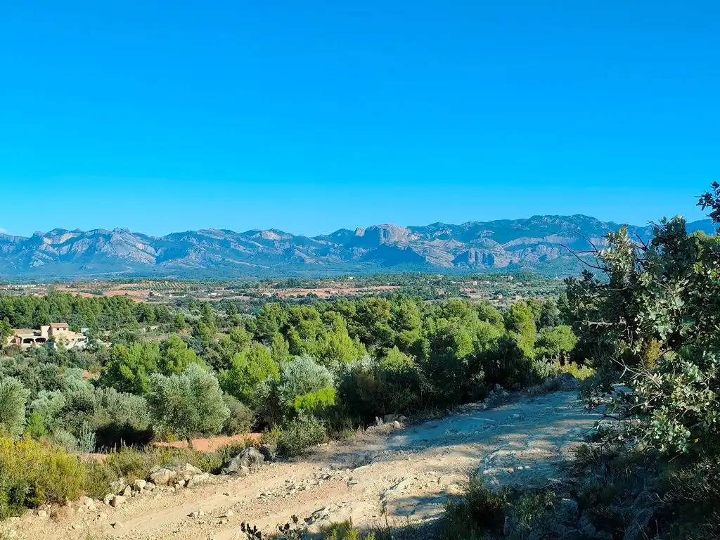 Country homes for sale in Cretas