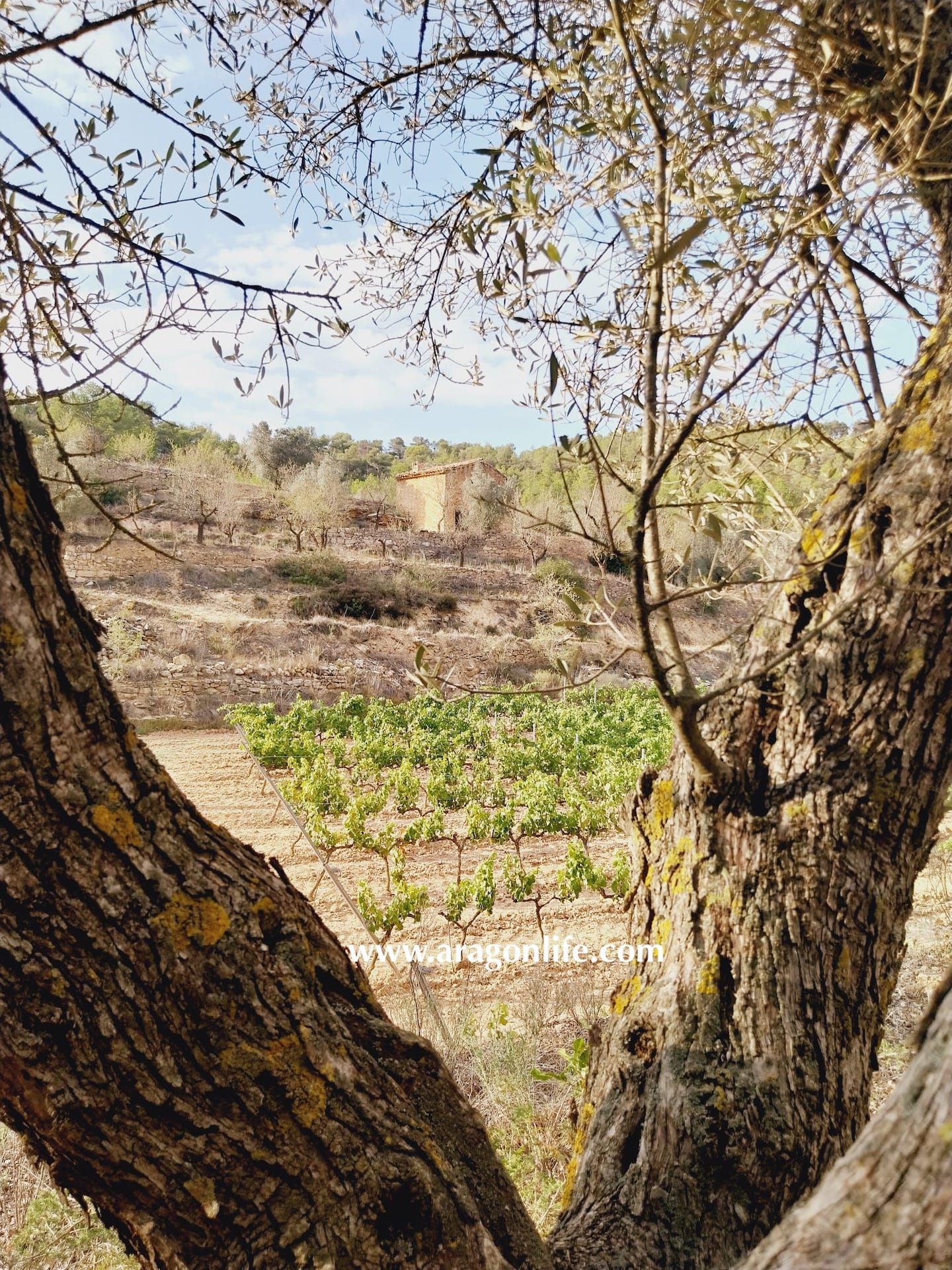 Finca rústica en venda en Caseres