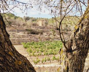 Finca rústica en venda en Caseres